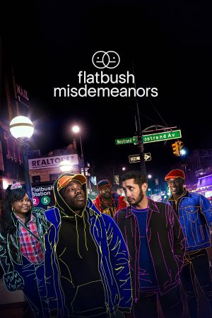 Willkommen in Flatbush, Brooklyn poster